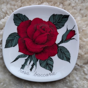 Puede incluir: Un plato de cerámica blanco con una rosa roja y hojas verdes. El plato tiene el texto "rosa baccarat" escrito en él.