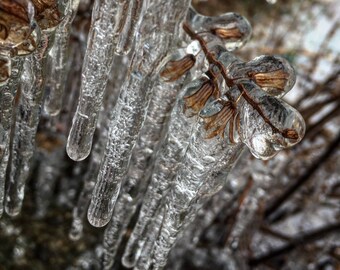 Frozen In Time