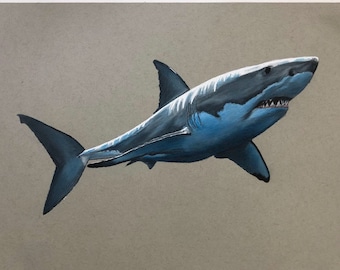 Great White Shark - colored pencil drawing print