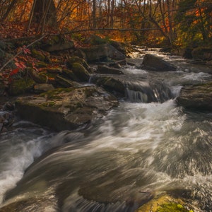 Autumn Raging River- Color Photography Print/ Colorful Fall Stream/ River Picture/ Creek picture/ Waterfall Picture