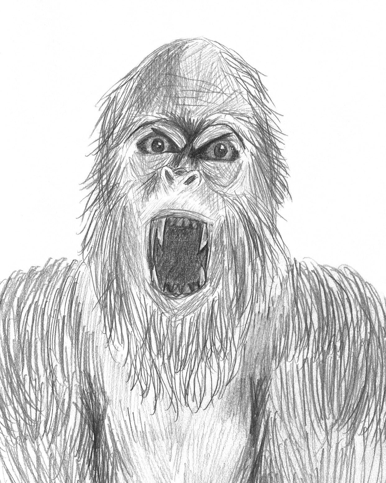 Bigfoot Drawing Etsy