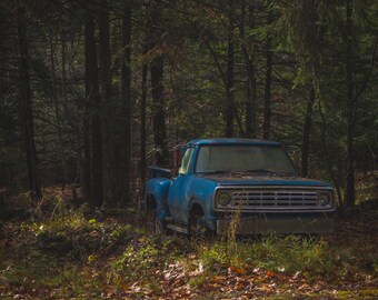 Abandoned Dodge Truck - color photography print