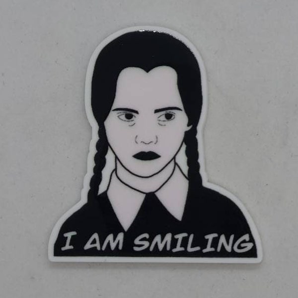 I Am Smiling Needle Minder/Cover Minder