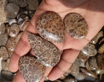 Natural Fossil Coral Cabochon Lot Loose Gemstones for Jewelry Making Wholesale LotGemstone, Handmade Mix Shape Cabochon Wholesale Lot
