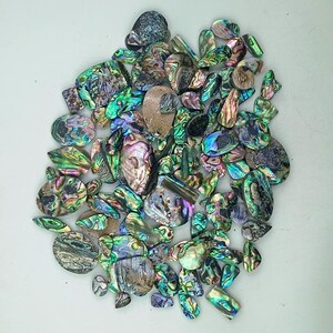 Abalone Shell Cabochon Lot: Natürliche Edelsteine für die Schmuckherstellung