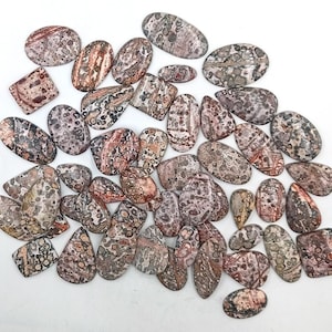 Natural Leopard Skin Jasper Cabochons Loose Gemstone Wholesale Lot