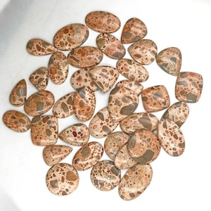 Leopard Skin Jasper Gemstone Loose Cabochon Stone Wholesale Lot