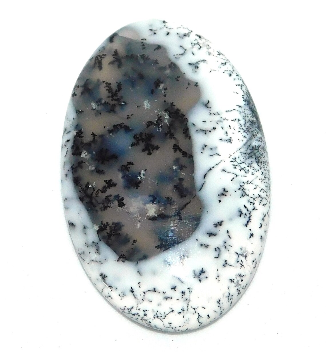 adult dendrite opal adult dendrite opal