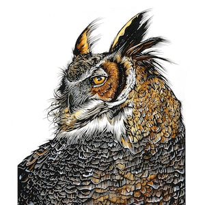 Regal owl ink drawing
