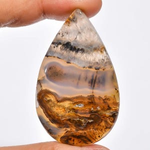 May include: A teardrop-shaped agate cabochon with brown, white, and gray banding. The stone has a natural, polished finish.