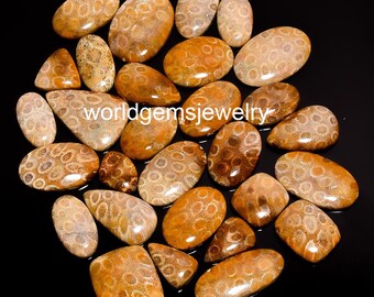 Aaa+ Quality Best Lot of top Hand polish Natural FOSSIL CORAL Cabochon Lot Flat back Gemstone, fossil cabs semi precious gemstone lot-35