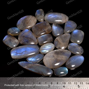 Può includere: Una collezione di 15 cabochon di pietra lunare iridescente in varie forme e dimensioni. Le pietre sono di colore grigio-blu chiaro con un bagliore iridescente scintillante. Le pietre sono disposte su uno sfondo nero con un righello per la scala.