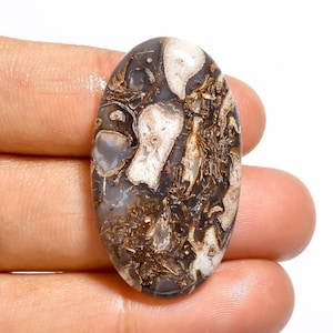 Versteend pindahout Kristal Natuurlijk pindahout Fossiele cabochon losse stenen Handgepolijste plaksteen edelstenen, cabochons van versteend hout