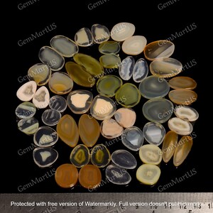 May include: A collection of 30 agate slices in various shapes and sizes. The slices are translucent and feature a variety of colors, including white, brown, and green. The agate slices are arranged in a circle on a black background.