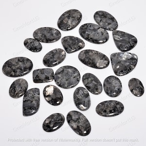 May include: A collection of 18 black and silver gemstone cabochons. The stones are oval, rectangular, and round in shape. They have a speckled pattern and a smooth, polished finish.