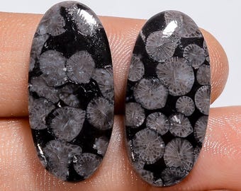 Par de cabujones de coral fósil negro natural con piedras preciosas a juego para hacer aretes, joyas y manualidades.