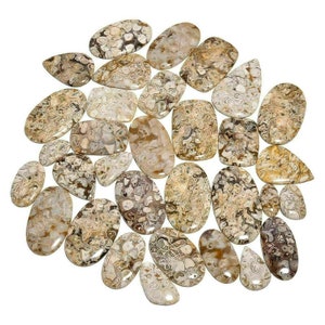 May include: A collection of 25 natural agate cabochons in various shapes and sizes. The cabochons are a mix of brown, white, and gray with intricate patterns.