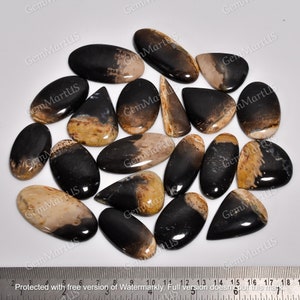May include: A collection of 18 black and brown agate cabochons, each with a unique pattern and shape. The cabochons are arranged on a white surface with a ruler for scale.