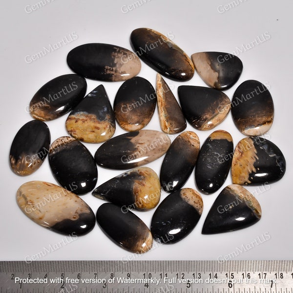 Genuine Palm Root Cabochon, Palm Root Agate, Wholesale Agates Stones, Fossil Palm Root, Jewelry Making, Sizes 15mm to 45mm