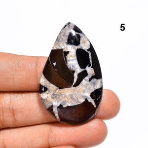 Black Septarian Cabochon Natural Septarian Stone for Jewelry Making, Crafts 5. 44x27x6mm 61ct