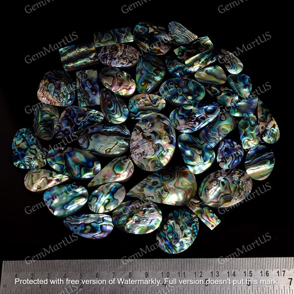 Natural Abalone shell Lot | Flat back Gemstone | Aaa+ top Quality Hand polish Gem Supplies | Semi Precious Loose Gemstone For Making Jewelry