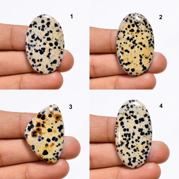 Natural Dalmatian Jasper Smooth Polished Cabochon Flatback Gemstones Dalmatian Stone Cabochons for Jewelry Making Crafts