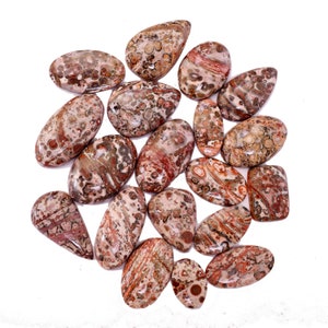 Aaa+ Quality Best Lot of top Hand polish Natural LEOPARD SKIN JASPER Cabochon Lot Flat back Gemstone, Jasper semi precious gemstone lot-12