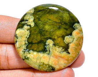 Cabujón de jaspe riolita de la selva tropical Piedra preciosa natural de jaspe verde