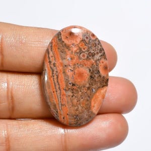 Véritable pierre précieuse de jaspe astéroïde brun naturel pour la fabrication de bijoux