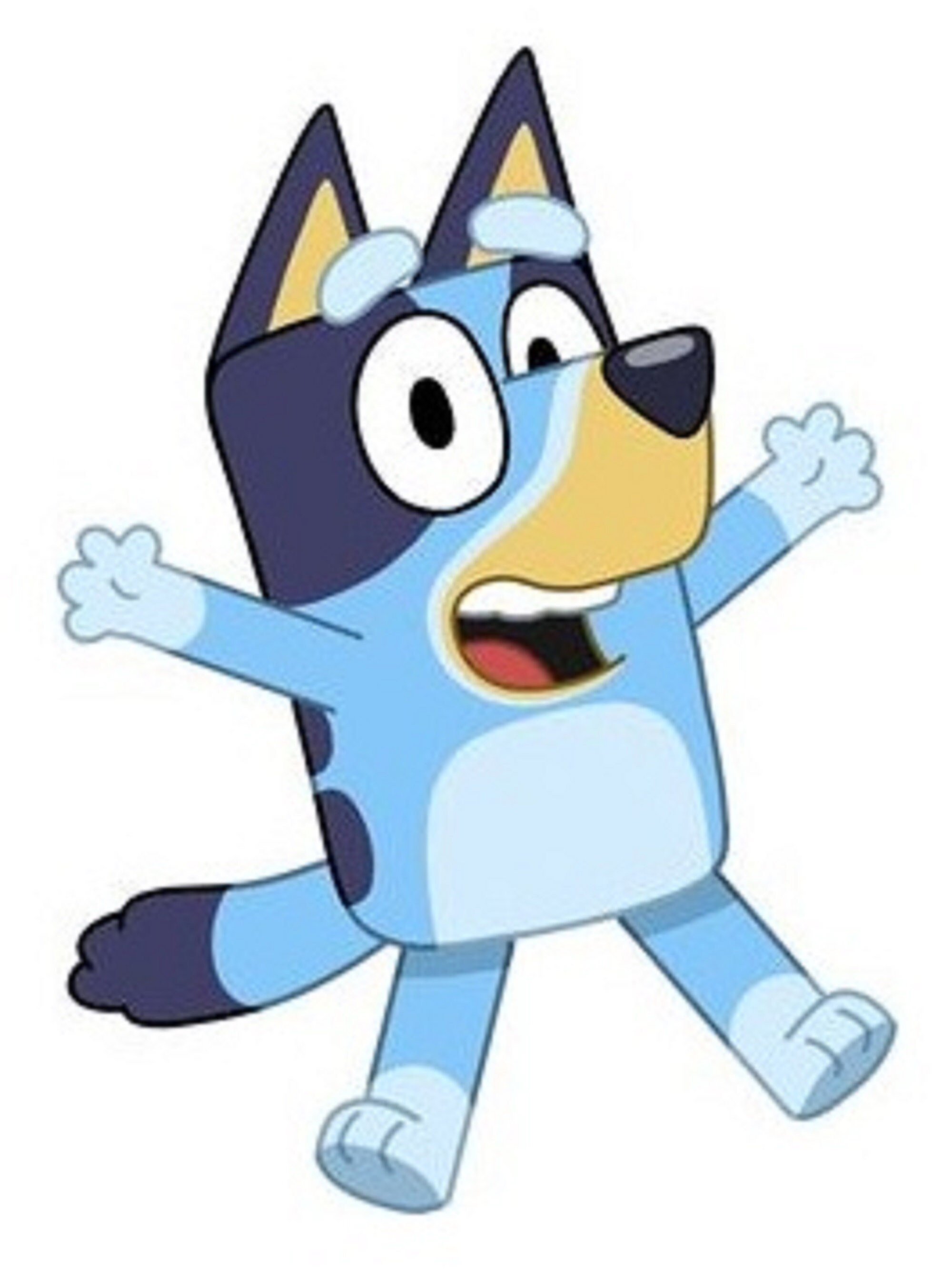 2x SMALL Bluey Iron on Heat Transfer Any Colour Fabric Etsy