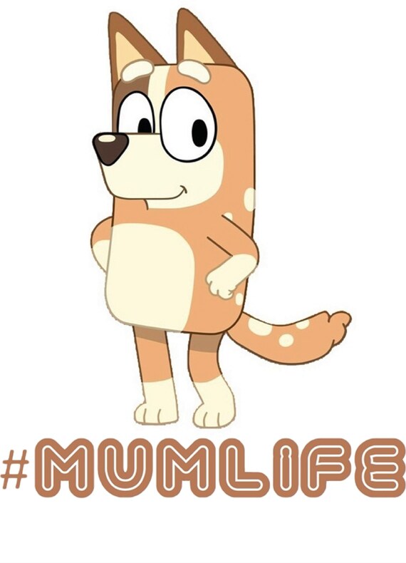 ChilliBlueyMumlife iron on heat transfer any colour fabric Etsy