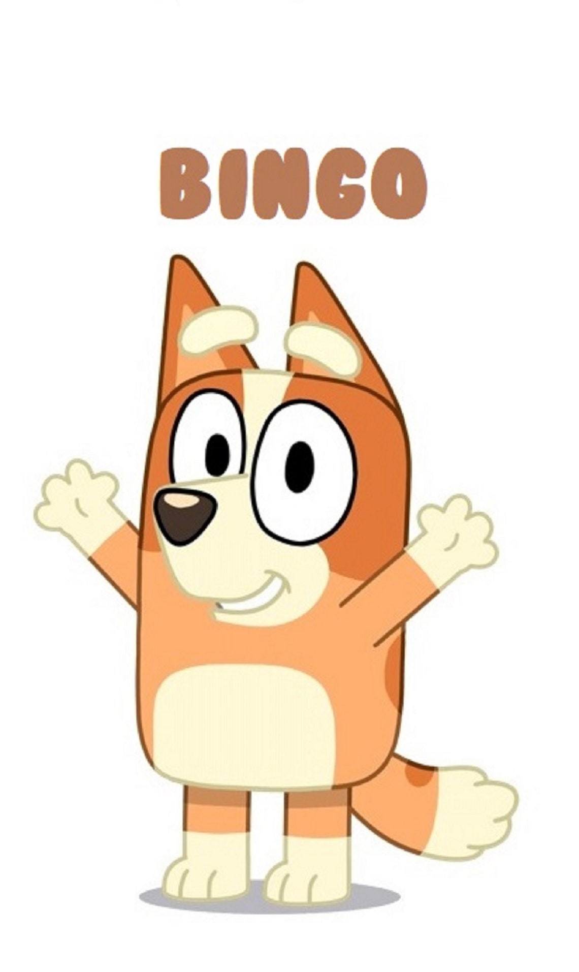 LARGER Bluey iron on heat transfer any colour fabric Etsy