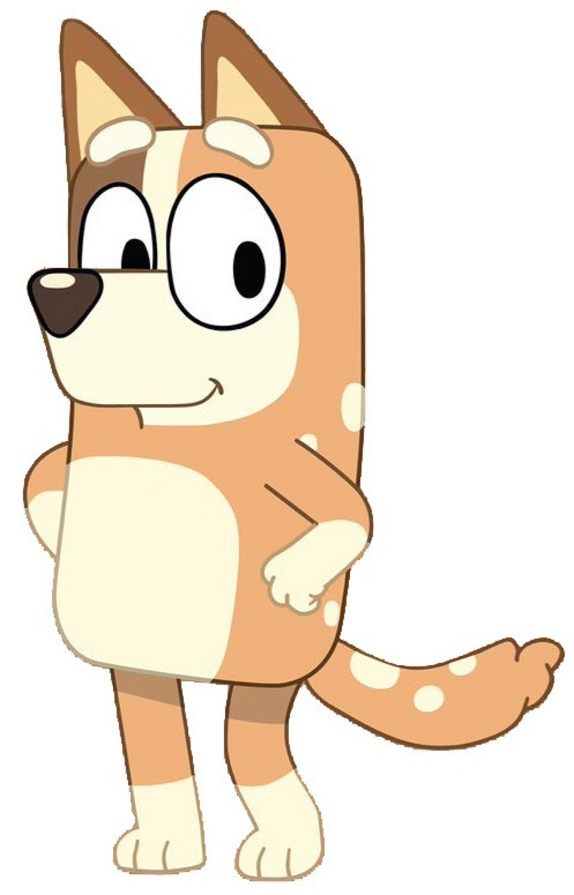 ChilliBluey hierro en transferencia de calor cualquier Etsy México