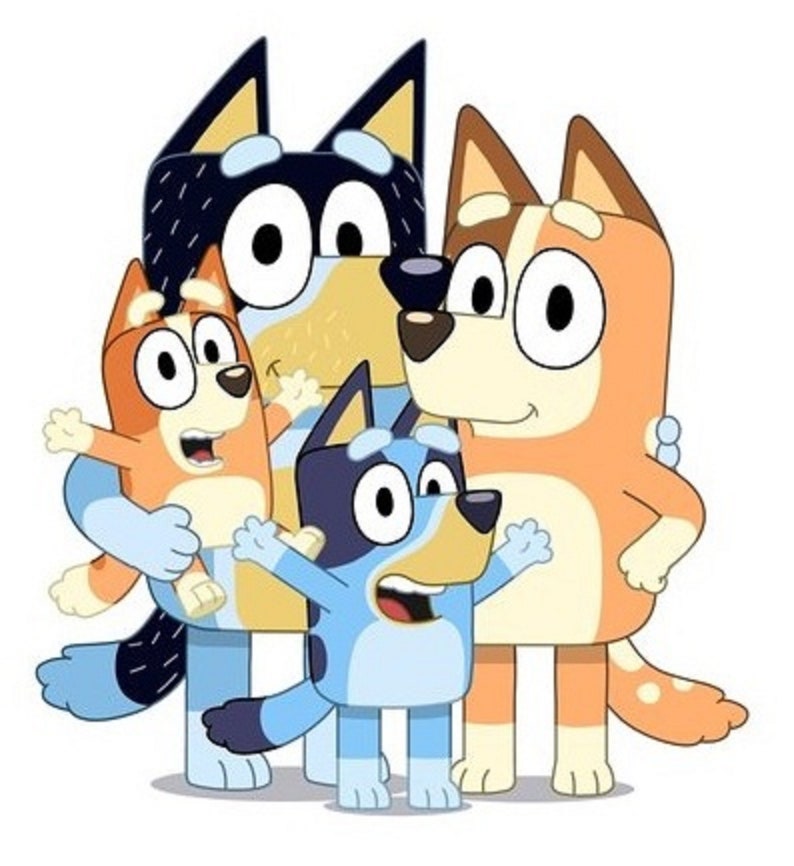 Bluey iron on heat transfer any colour fabric Etsy