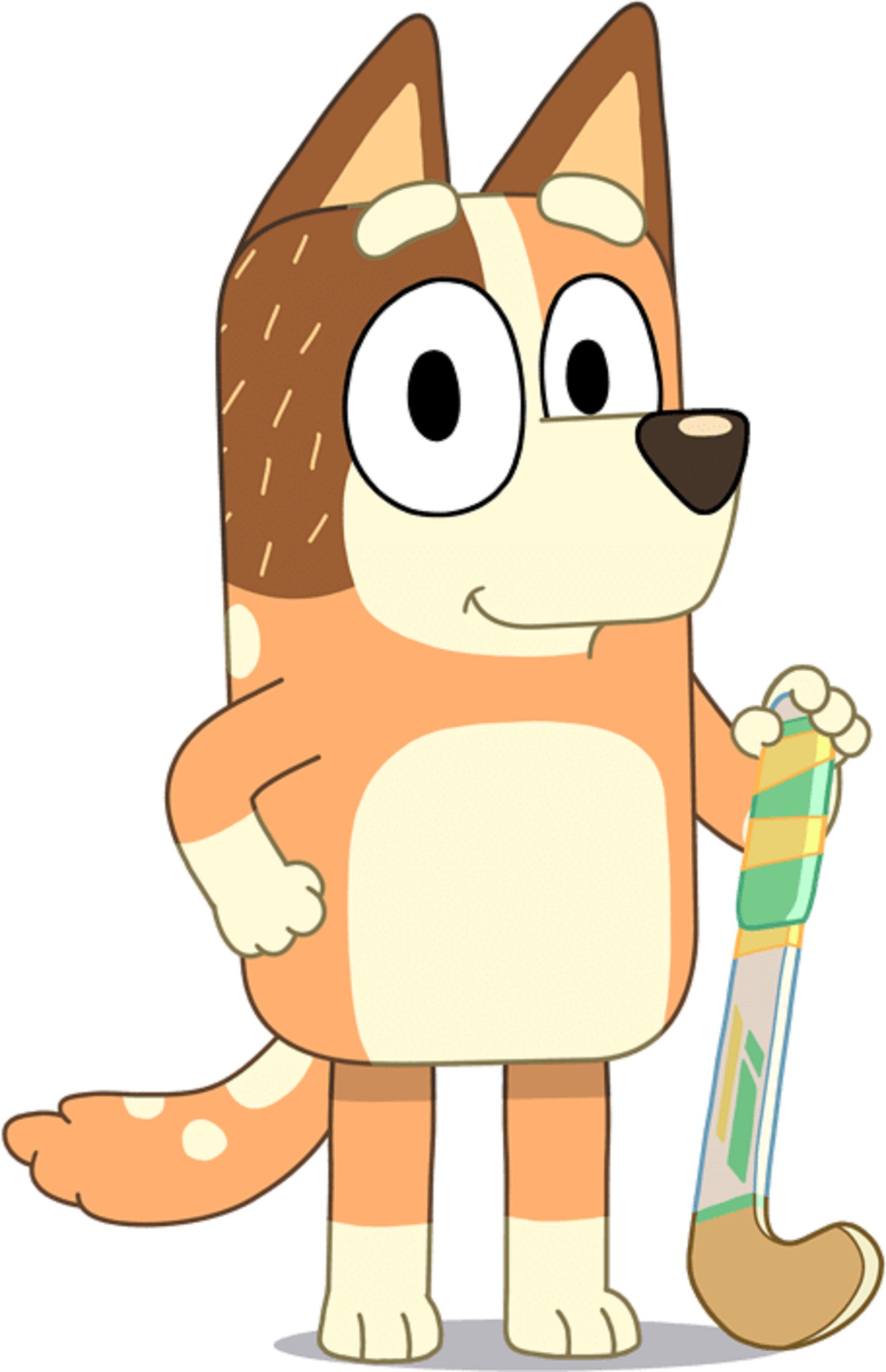 Bluey Iron on Heat Transfer Any Colour Fabric Etsy Singapore