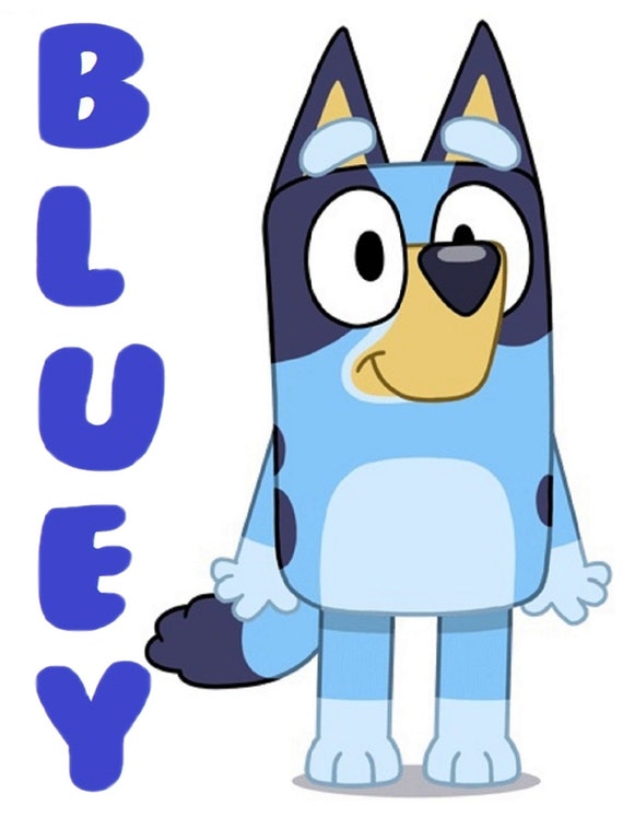 Bluey Iron on Heat Transfer Any Colour Fabric Etsy