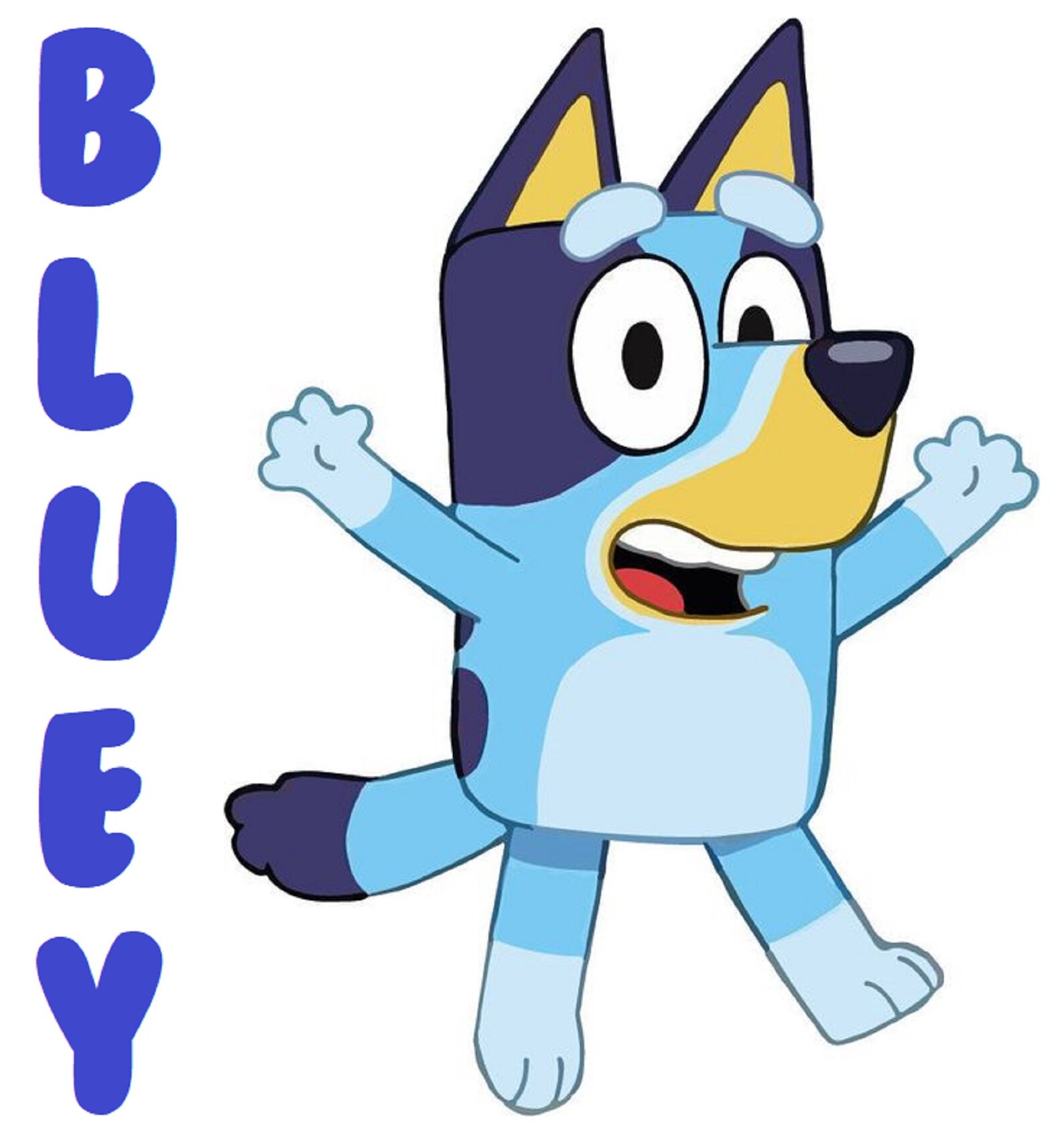 Bluey iron on heat transfer any colour fabric Etsy