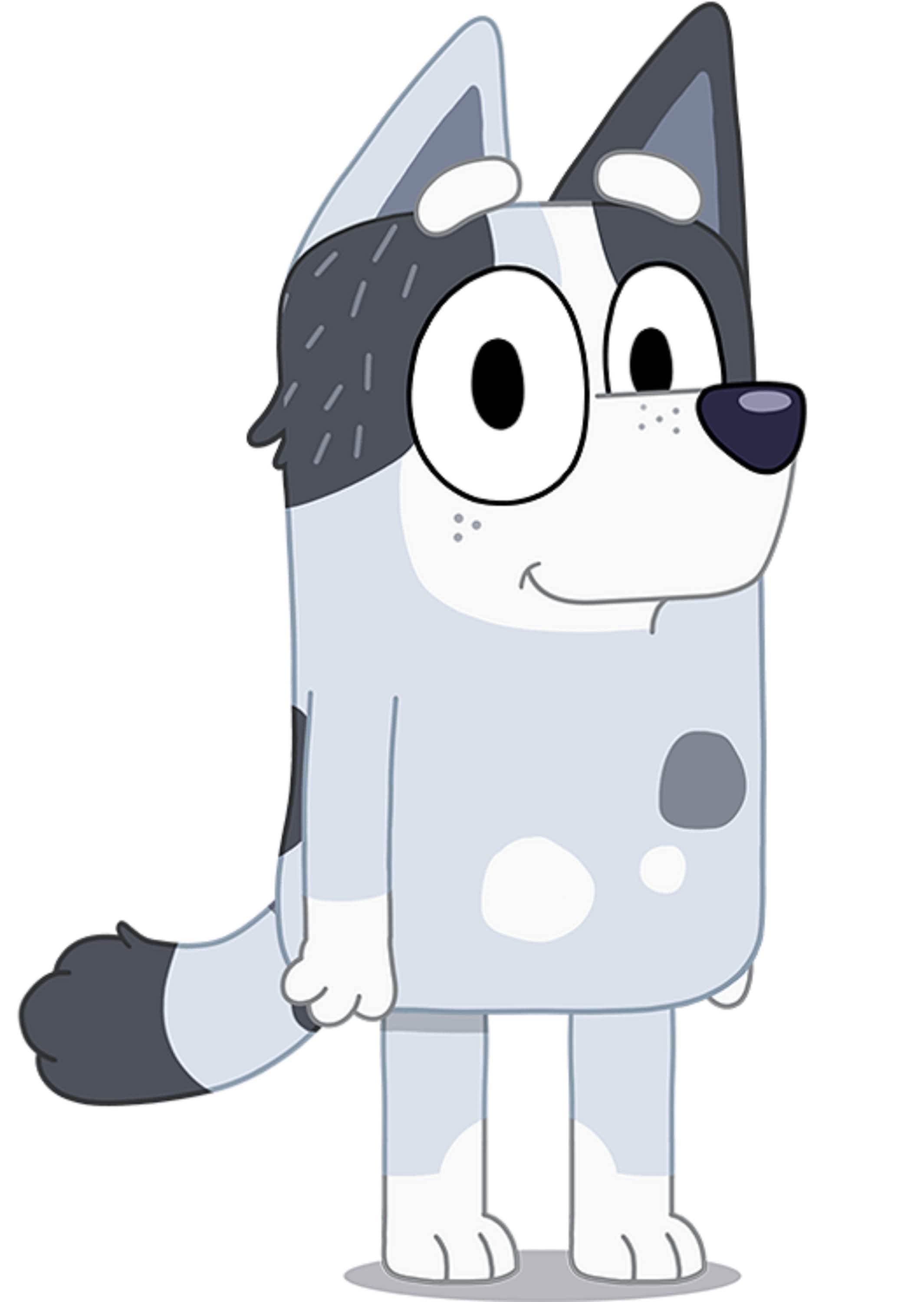 Bluey Iron on Heat Transfer Any Colour Fabric Etsy UK