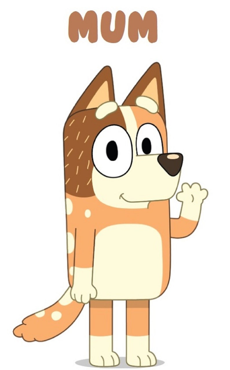 Bluey iron on heat transfer any colour fabric Etsy