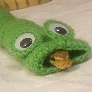 May include: A green crocheted snake costume with googly eyes and a snake peeking out of the opening.