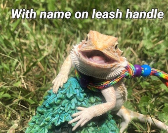 Personalized bearded dragon leash  | create your own dragon leash | beardie harness