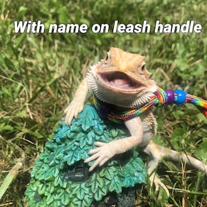 Personalized bearded dragon leash  | create your own dragon leash | beardie harness