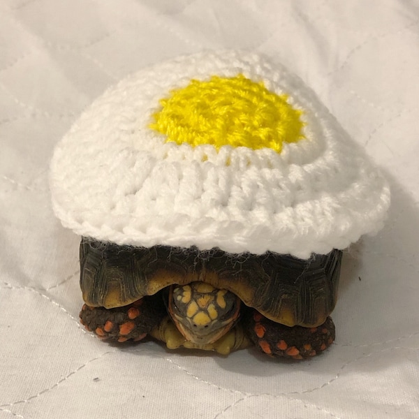 Egg tortoise costume | tortoise hat | tortoise halloween costume