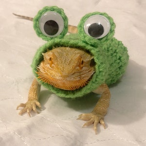 Crocheted Adult Frog bearded dragon costume | bearded dragon costume | bearded dragon clothing