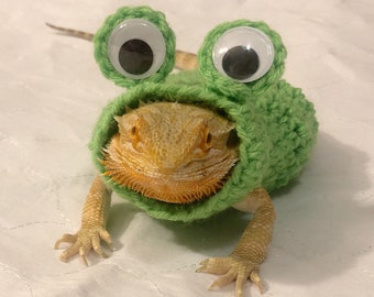 Puede incluir: Un disfraz de rana de crochet verde con grandes ojos saltones, usado por un dragón barbudo.