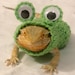 see more listings in the beardie & gecko sweaters section