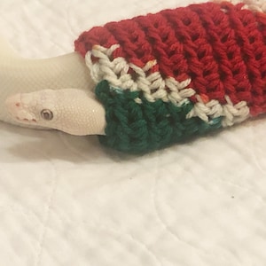 Op de afbeelding: Een witte slang die een rood, wit en groen gebreide trui draagt.