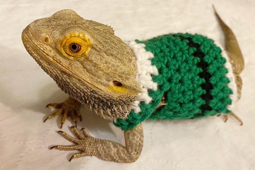 Crocheted Elf Bearded Dragon Sweater | Lizard Costume - Etsy