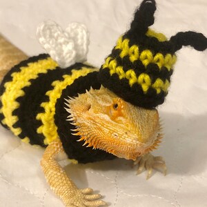 Crocheted Adult bee bearded dragon costume | bearded dragon costume | bearded dragon clothing