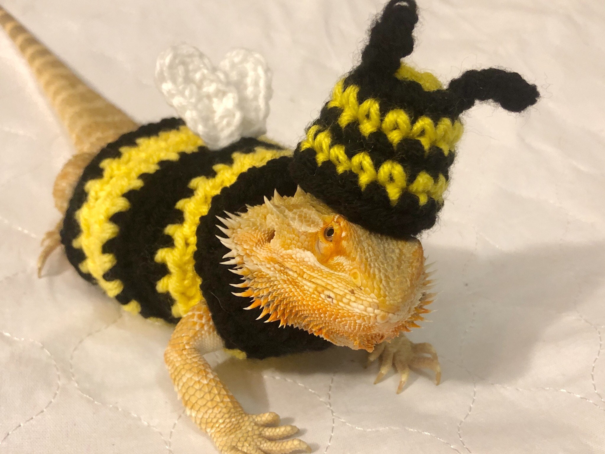 Crocheted Adult Bee Bearded Dragon Costume Bearded Dragon Etsy Australia